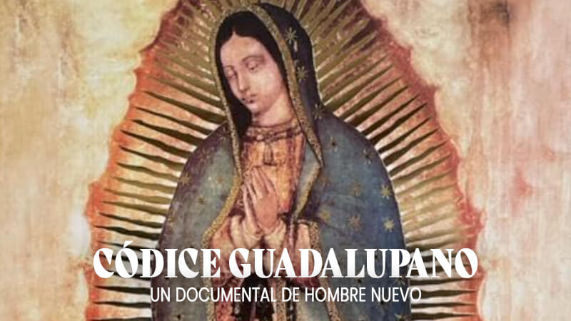 Códice Guadalupano