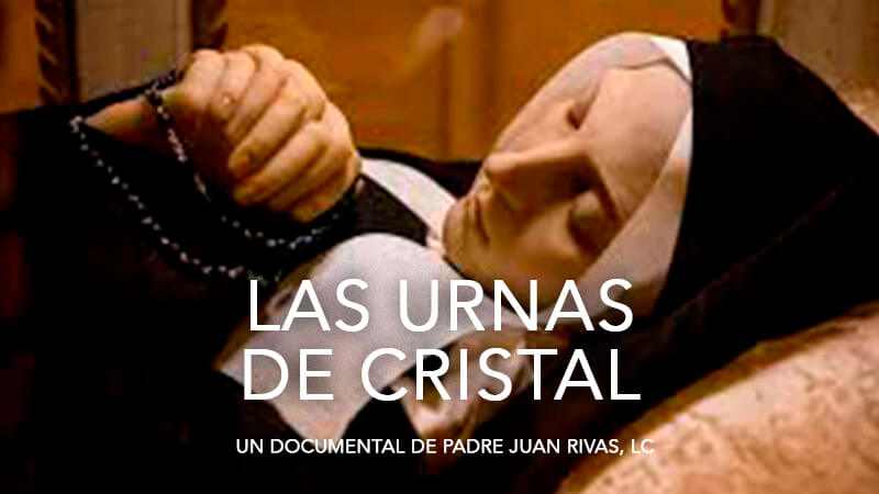 Las urnas de cristal